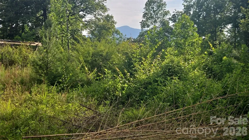 66 Misery Ridge Trail Mill Spring NC 28756