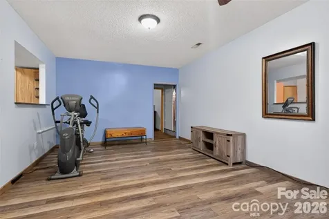66 Misery Ridge Trail Mill Spring NC 28756