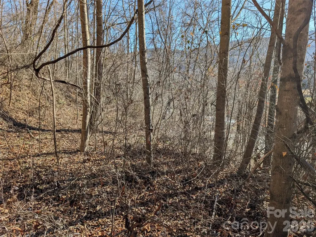 00 Great Smoky Mountain Expy Highway Waynesville NC 28786