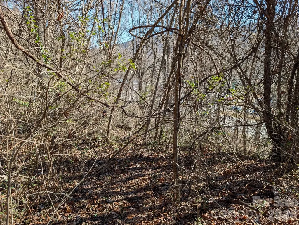00 Great Smoky Mountain Expy Highway Waynesville NC 28786