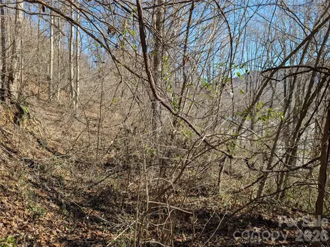 00 Great Smoky Mountain Expy Highway Waynesville NC 28786