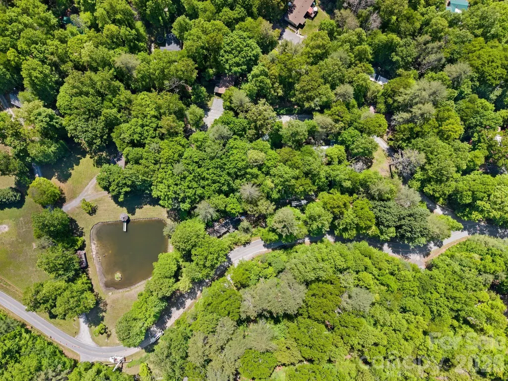 37 Hicks Lake Drive Hendersonville NC 28739