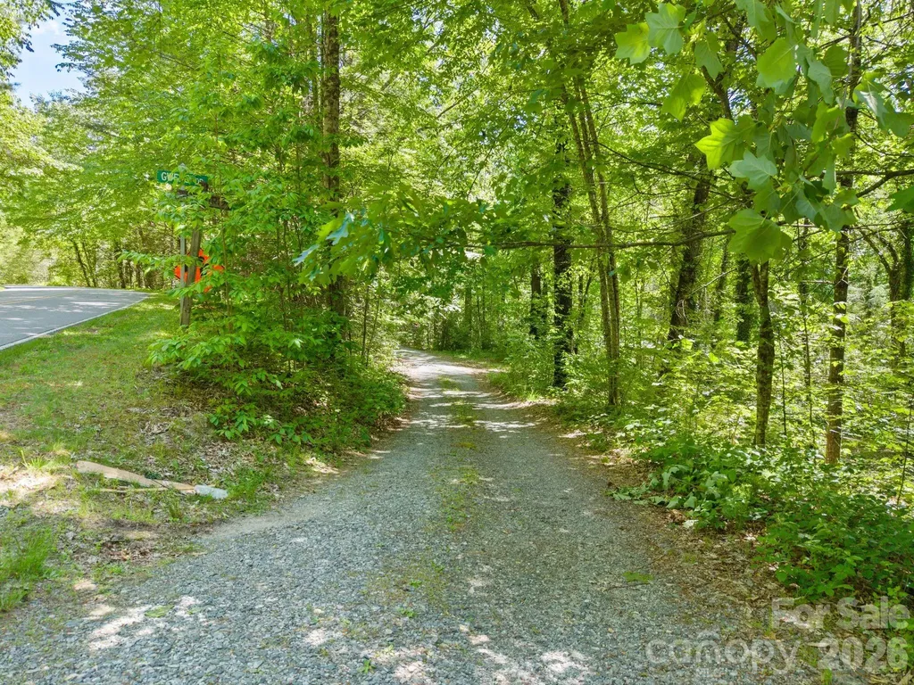 37 Hicks Lake Drive Hendersonville NC 28739