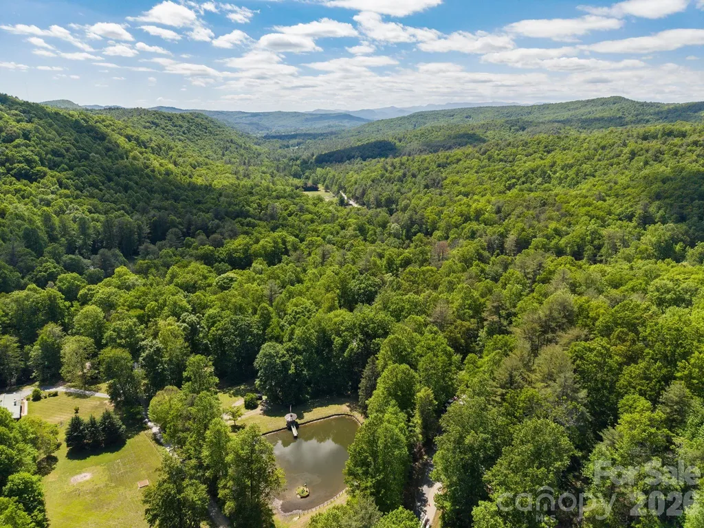 37 Hicks Lake Drive Hendersonville NC 28739