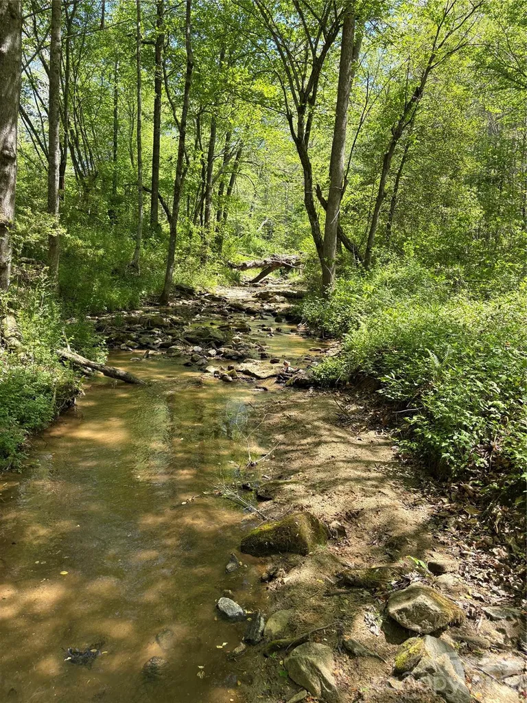 06 Hopewell Church Road Hiddenite NC 28636