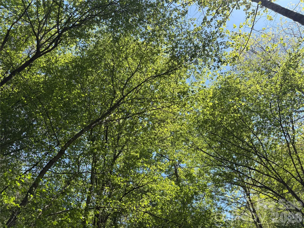 06 Hopewell Church Road Hiddenite NC 28636