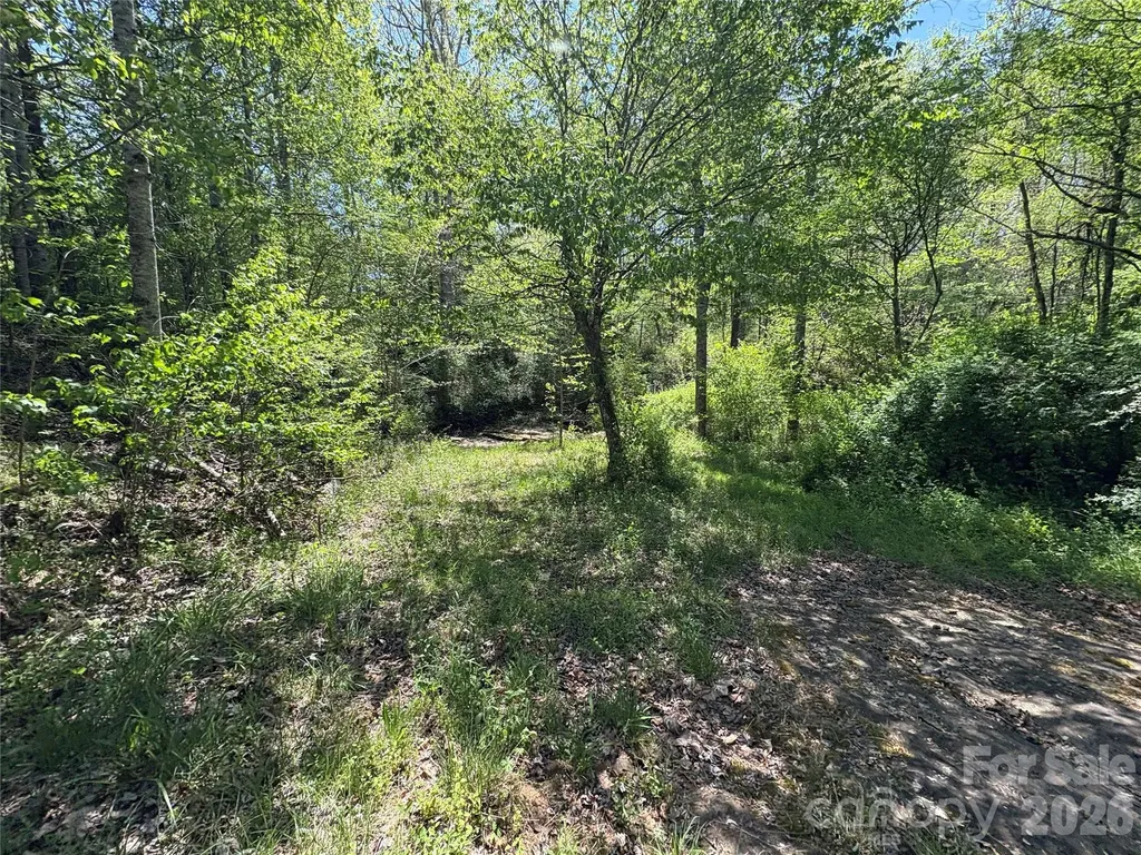 06 Hopewell Church Road Hiddenite NC 28636