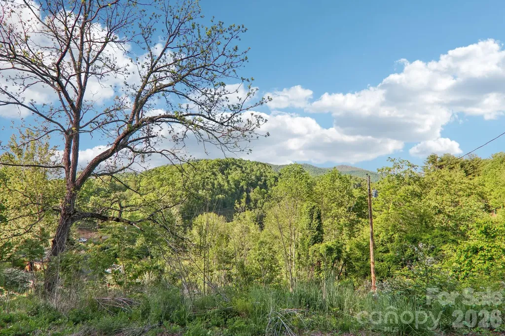 137 Red Maple Lane Burnsville NC 28714