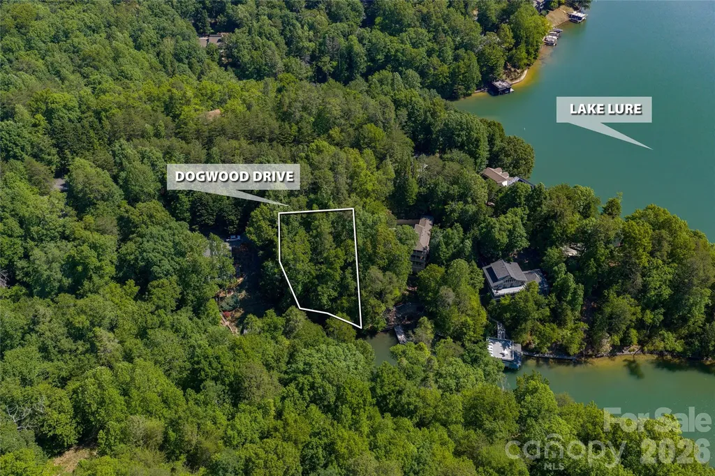 9999 Dogwood Drive Lake Lure NC 28746