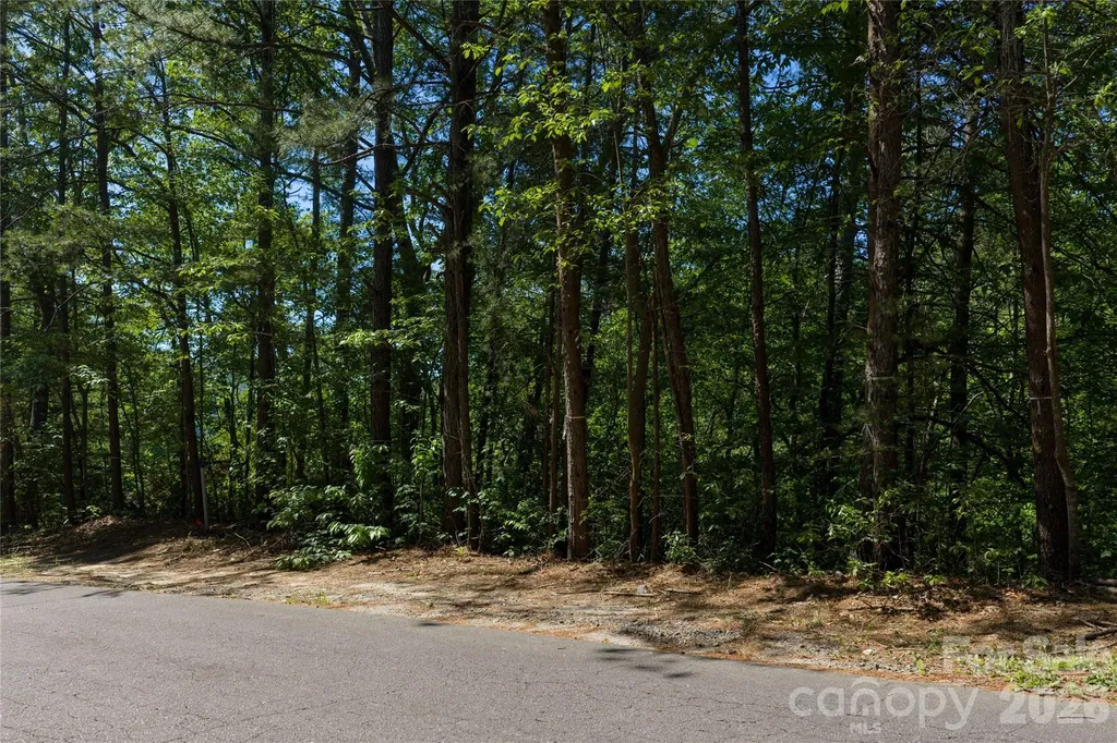 9999 Dogwood Drive Lake Lure NC 28746