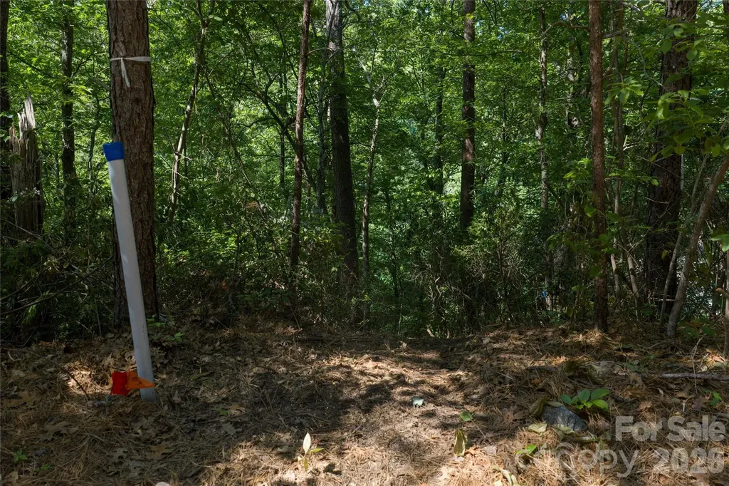 9999 Dogwood Drive Lake Lure NC 28746