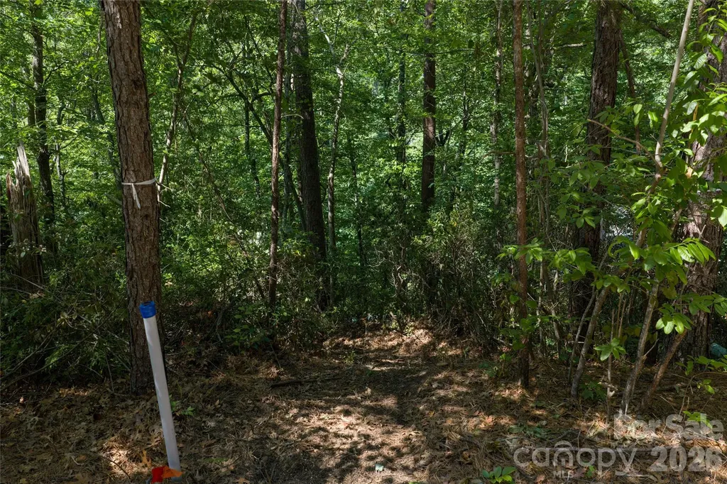 9999 Dogwood Drive Lake Lure NC 28746