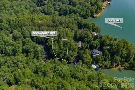 9999 Dogwood Drive Lake Lure NC 28746