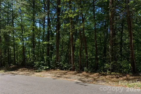 9999 Dogwood Drive Lake Lure NC 28746