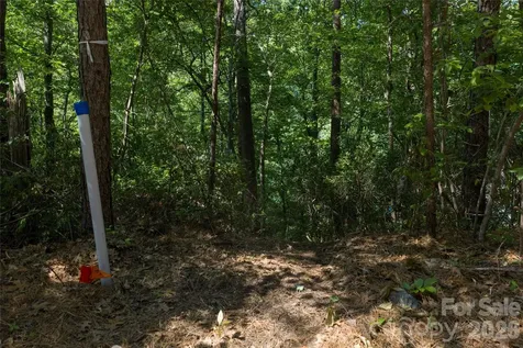 9999 Dogwood Drive Lake Lure NC 28746