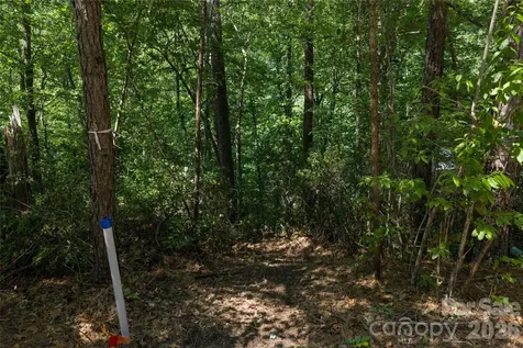 9999 Dogwood Drive Lake Lure NC 28746