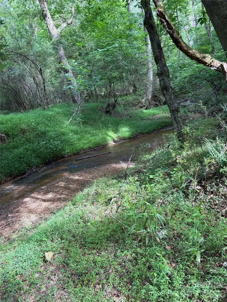 00 Green Fields Lane Columbus NC 28722