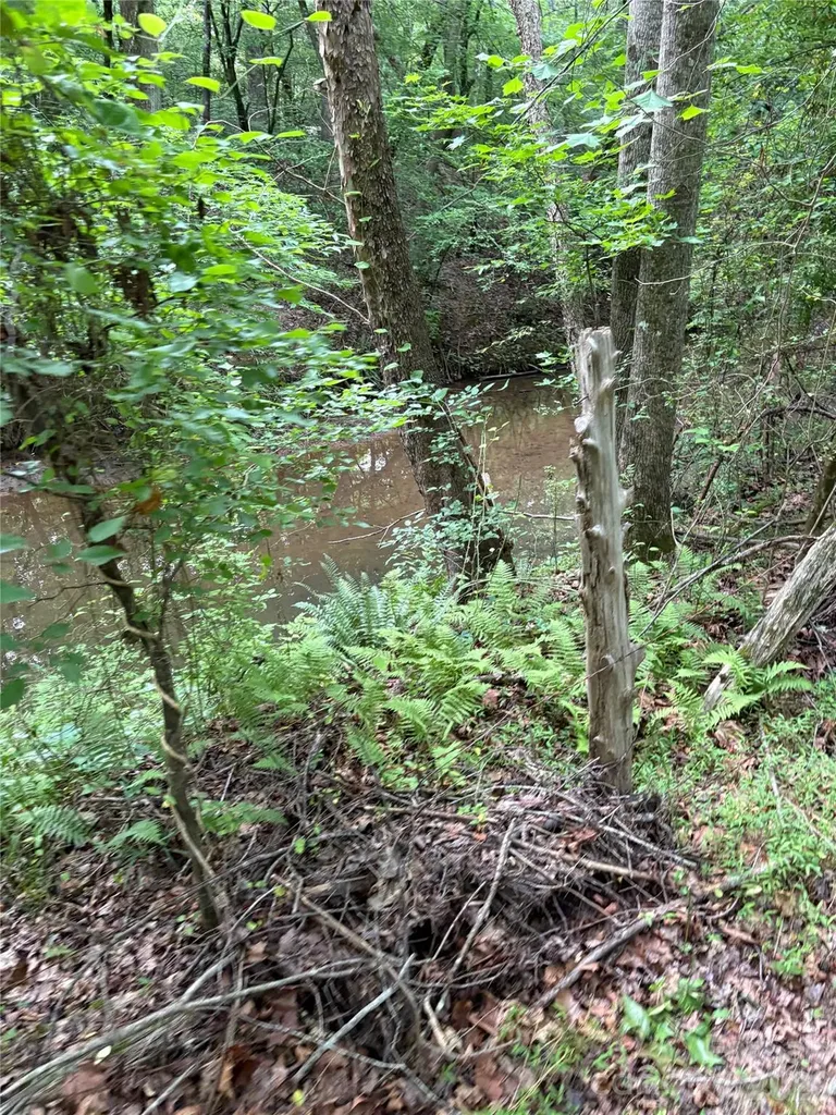 00 Green Fields Lane Columbus NC 28722