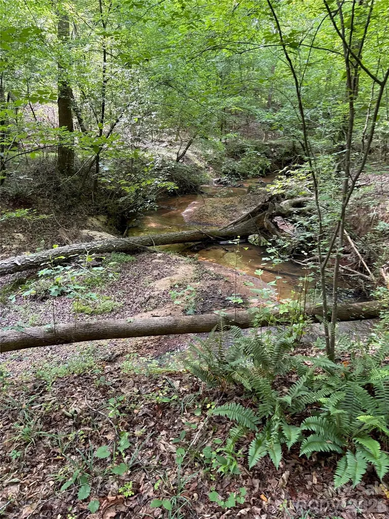 00 Green Fields Lane Columbus NC 28722
