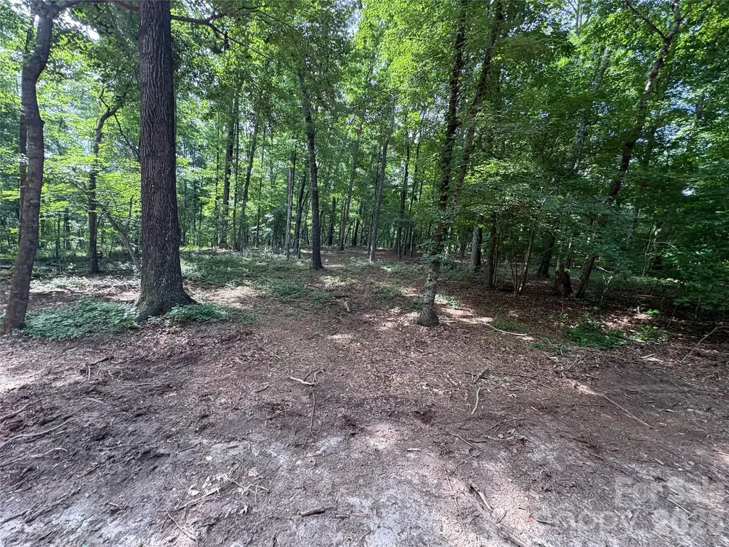 00 Green Fields Lane Columbus NC 28722