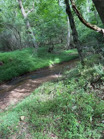 00 Green Fields Lane Columbus NC 28722