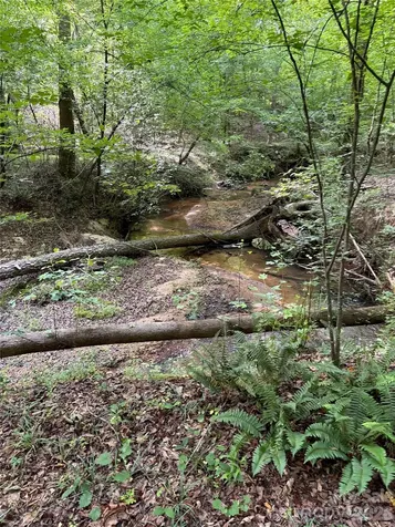 00 Green Fields Lane Columbus NC 28722