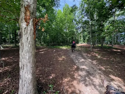 00 Green Fields Lane Columbus NC 28722