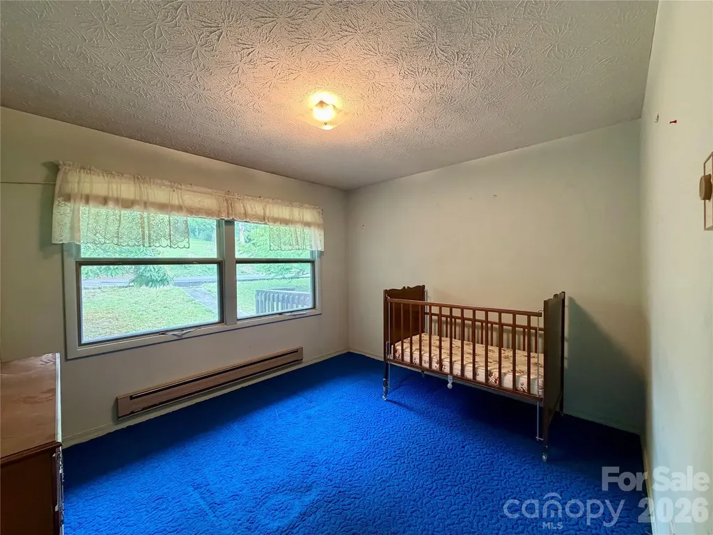 133 Jarvis Street Waynesville NC 28786