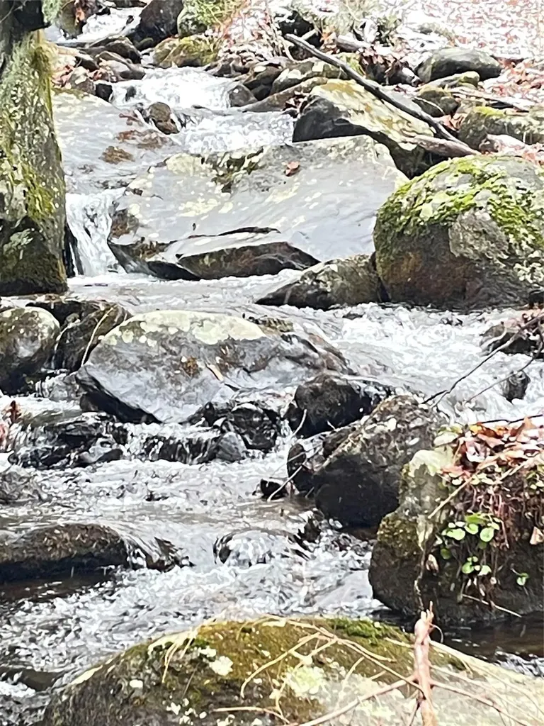635/634 Little Horse Creek Newland NC 28657