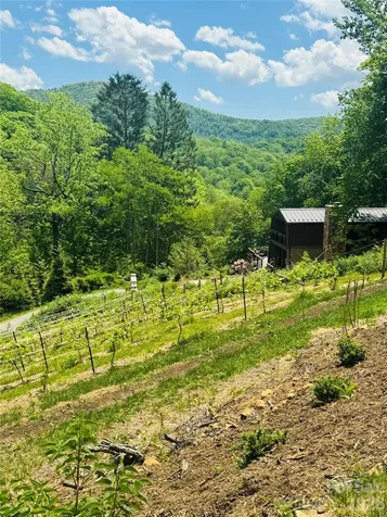 635/634 Little Horse Creek Newland NC 28657