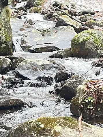635/634 Little Horse Creek Newland NC 28657