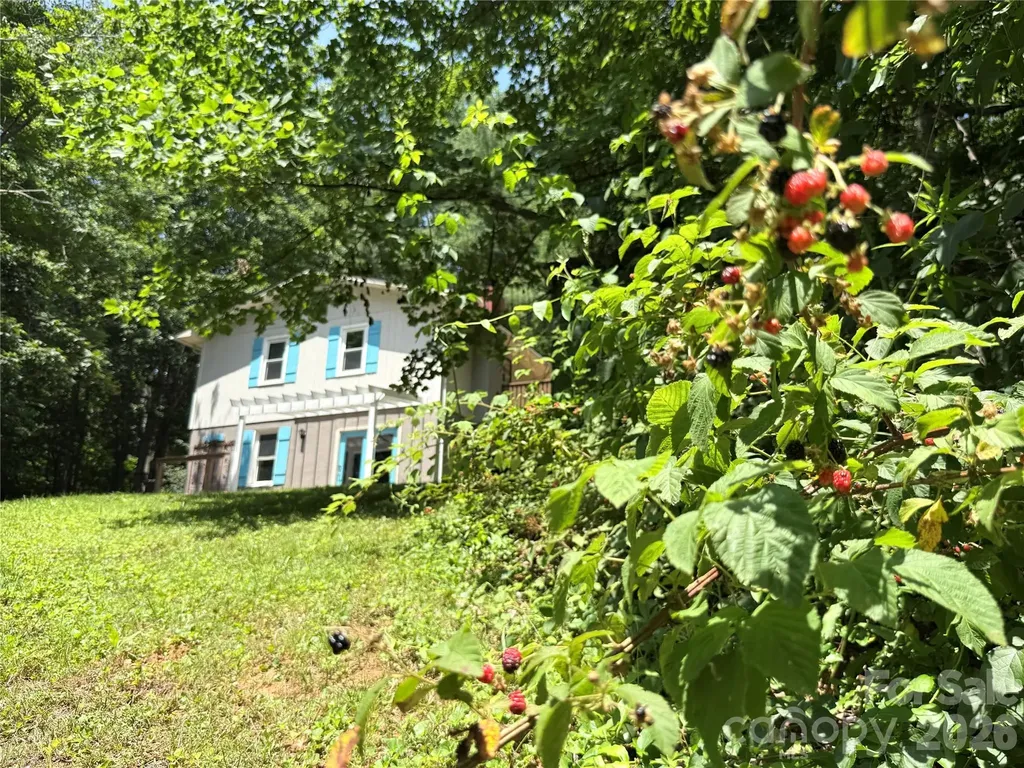 95 Walker Cove Road Black Mountain NC 28711