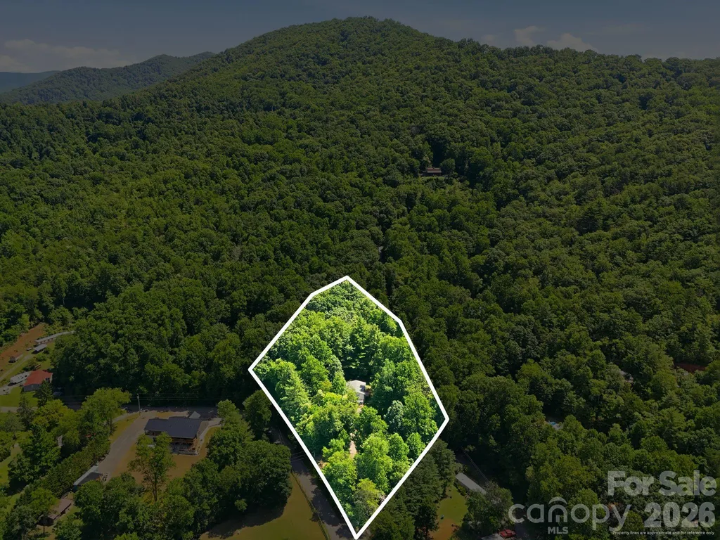 95 Walker Cove Road Black Mountain NC 28711