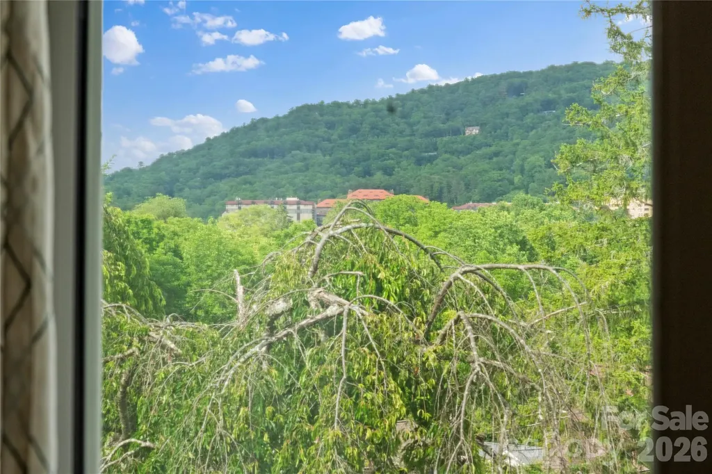 60 Austin Avenue Asheville NC 28801