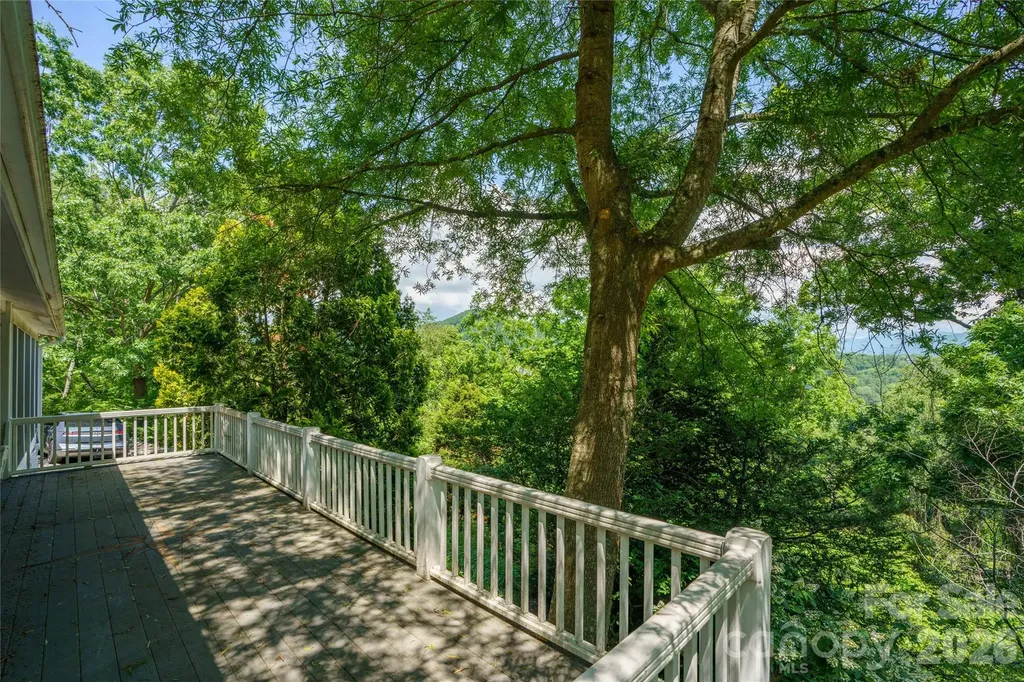 32 Delano Road Asheville NC 28805