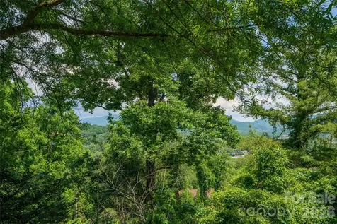 32 Delano Road Asheville NC 28805