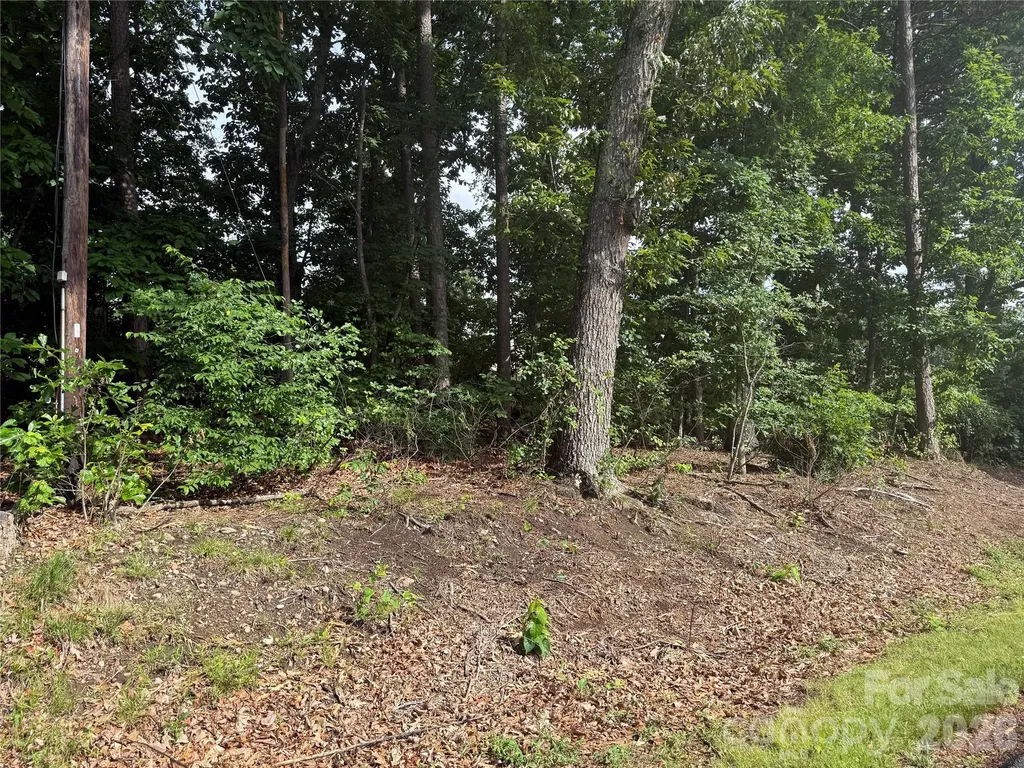 00 Brookhaven Drive Lincolnton NC 28092