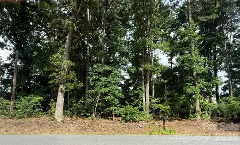 00 Brookhaven Drive Lincolnton NC 28092