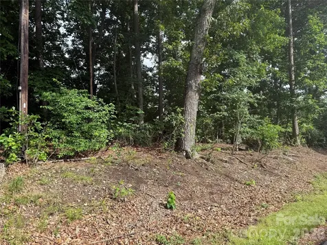 00 Brookhaven Drive Lincolnton NC 28092