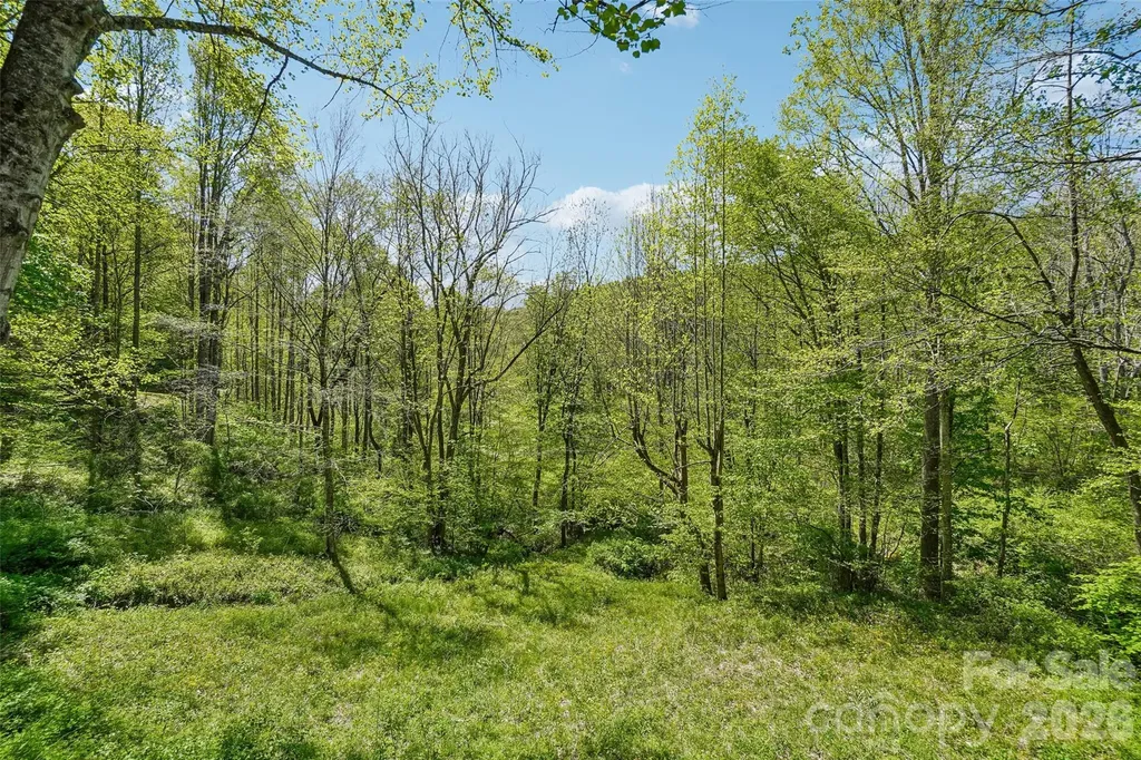 66 Pinto Trail Sylva NC 28779