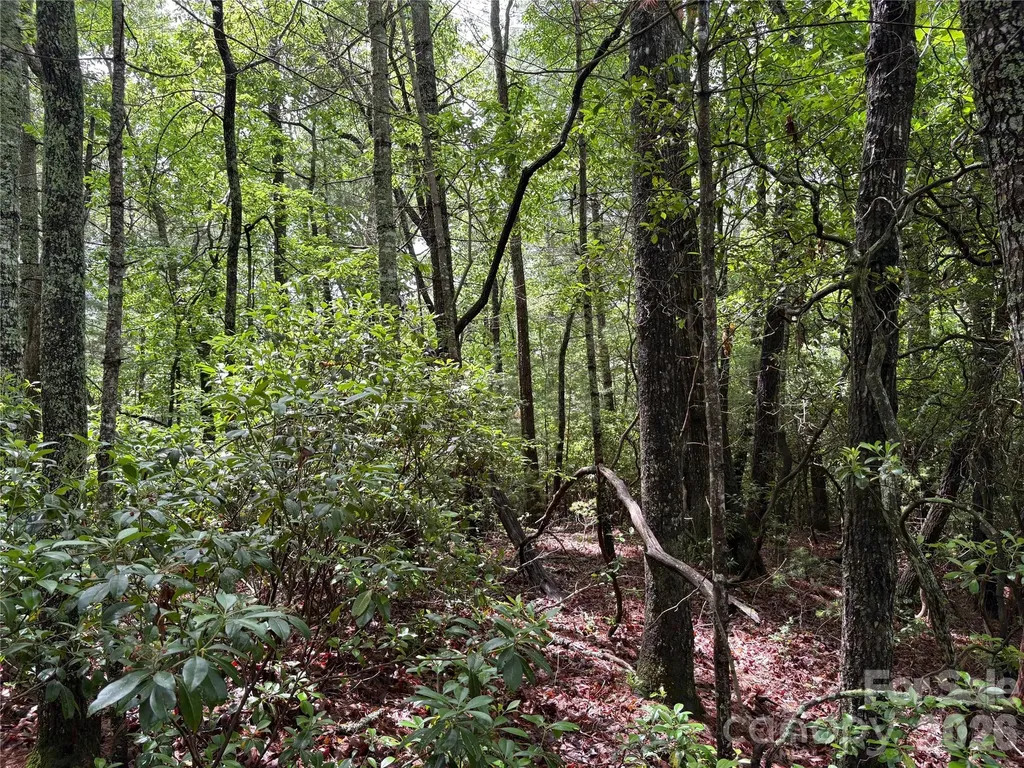 197 Fox Hollow Circle Otto NC 28763