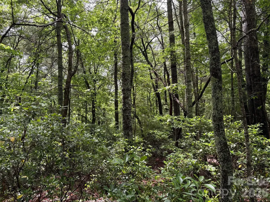 197 Fox Hollow Circle Otto NC 28763