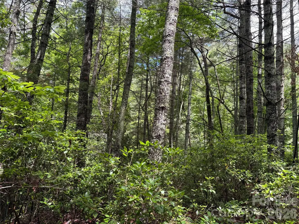 197 Fox Hollow Circle Otto NC 28763