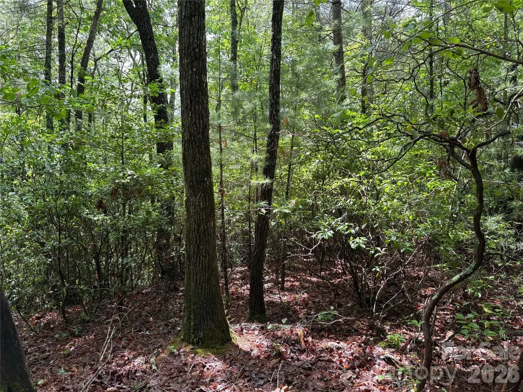 197 Fox Hollow Circle Otto NC 28763