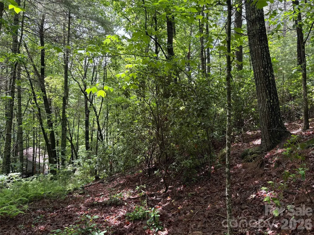 197 Fox Hollow Circle Otto NC 28763