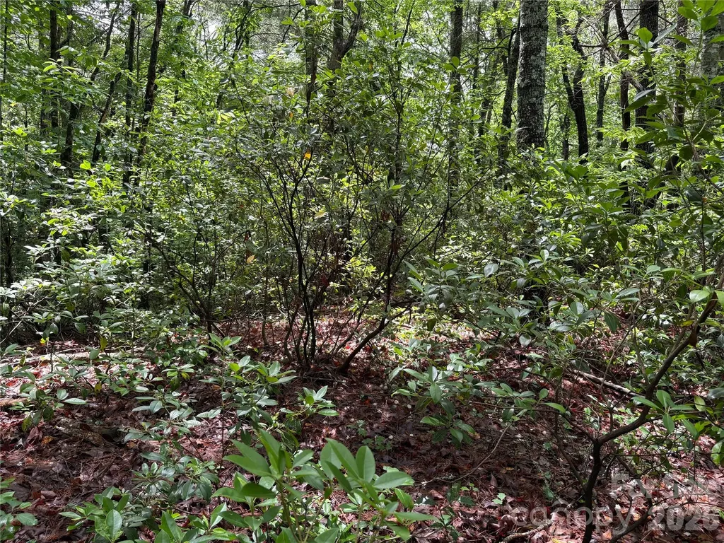 197 Fox Hollow Circle Otto NC 28763