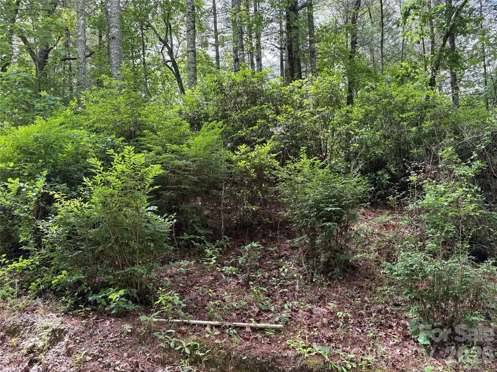 197 Fox Hollow Circle Otto NC 28763