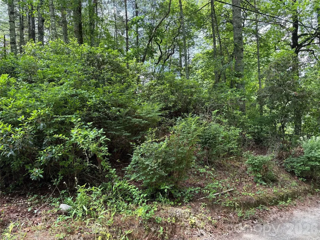 197 Fox Hollow Circle Otto NC 28763