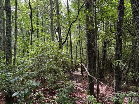 197 Fox Hollow Circle Otto NC 28763