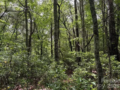 197 Fox Hollow Circle Otto NC 28763